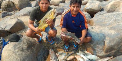 Pesca y seguridad alimentaria