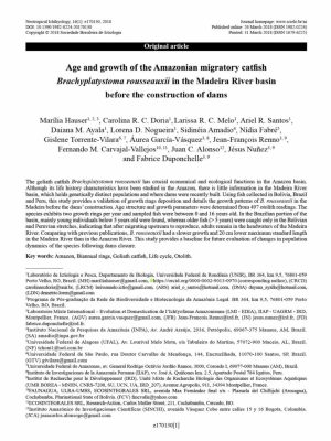 Age and growth of the Amazonian migratory catfish Brachyplatystoma rousseauxii in the Madeira River basin before the construction of dams