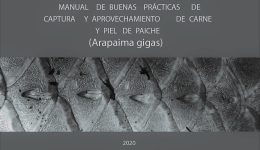 Manual Buenas Practicas Captura Aprovechamiento Carme Paiche 2020_final_tapa_color verde