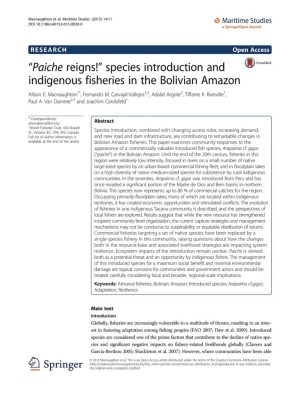 “Paiche reigns!” species introduction and indigenous fisheries in the Bolivian Amazon