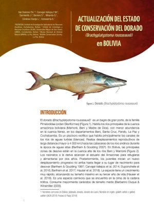 Actualizacion del estado de conservacion del dorado (Brachyplatystoma rousseauxii) en Bolivia.