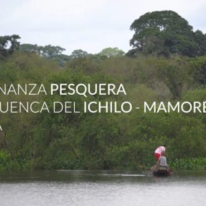 Legislación y gobernanza pesquera en la Amazonia boliviana (2021-2022)