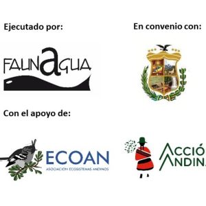 Logos para pag web