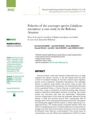 Fisheries of the scavenger species Calophysus macropterus: a case study in the Bolivian Amazon